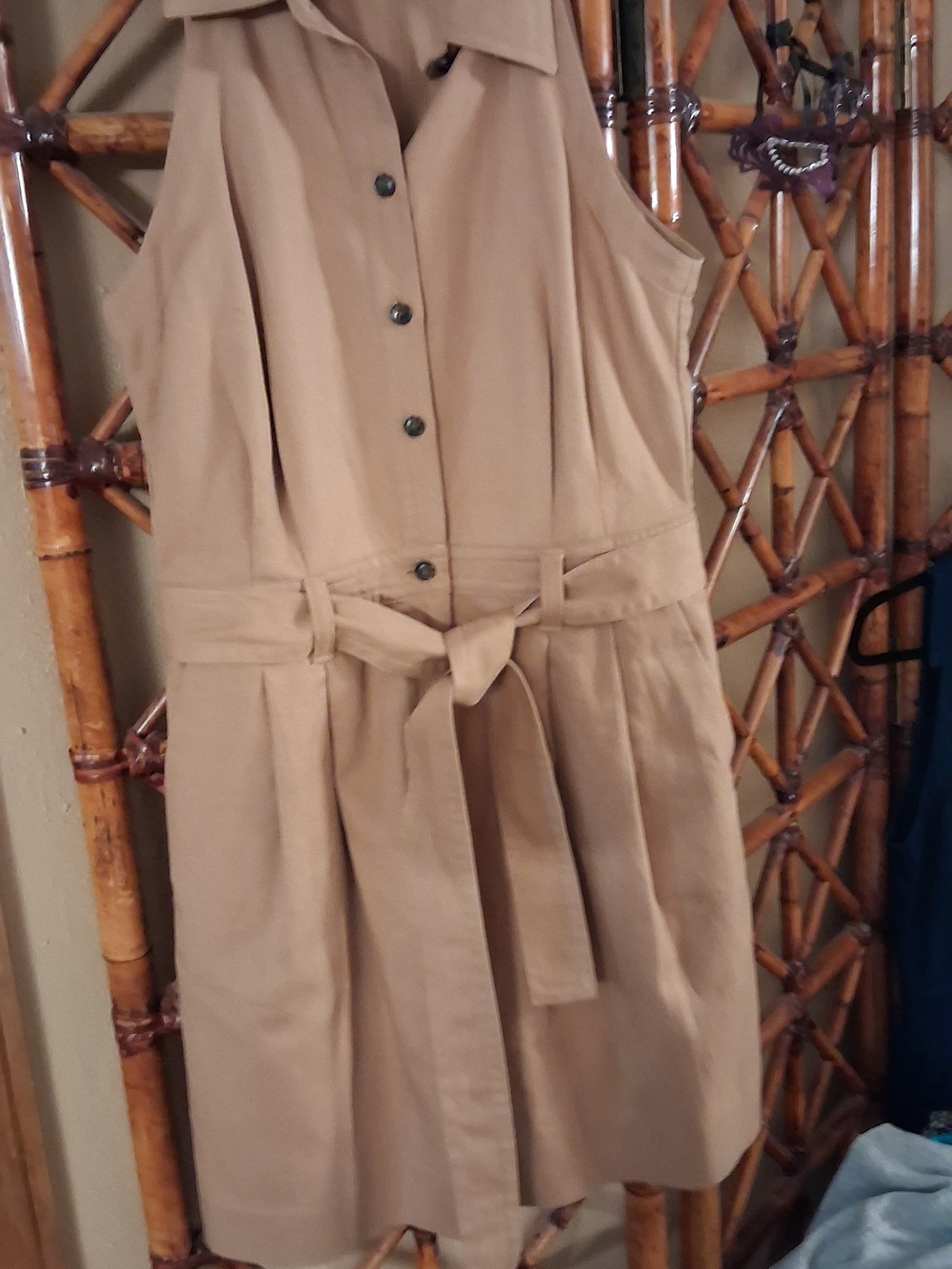 Banana Republic Women’s Shorts Bermudas in Tan